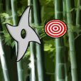 飛鏢大師2 飛鏢大師2