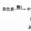 自然種群 自然種群