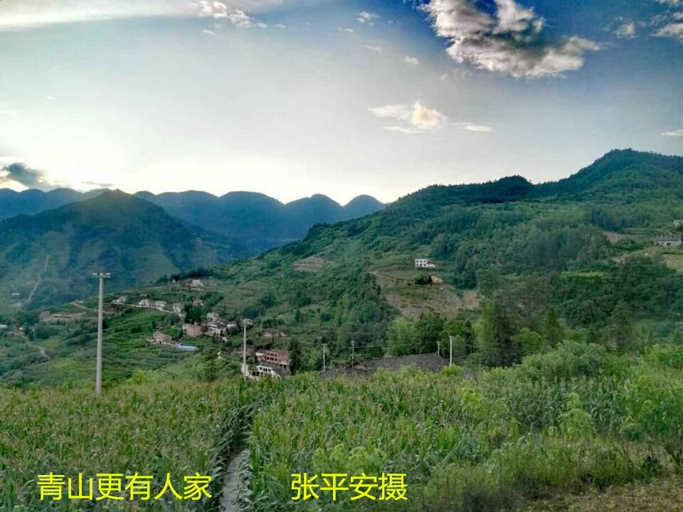上莊村