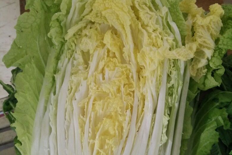 魯信春黃 魯信春黃