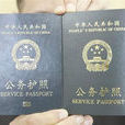 因公電子護照