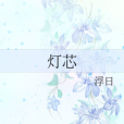 燈芯 燈芯