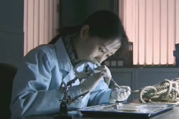 葉玲(電視劇《案發現場》中的角色) 葉玲(電視劇《案發現場》中的角色)