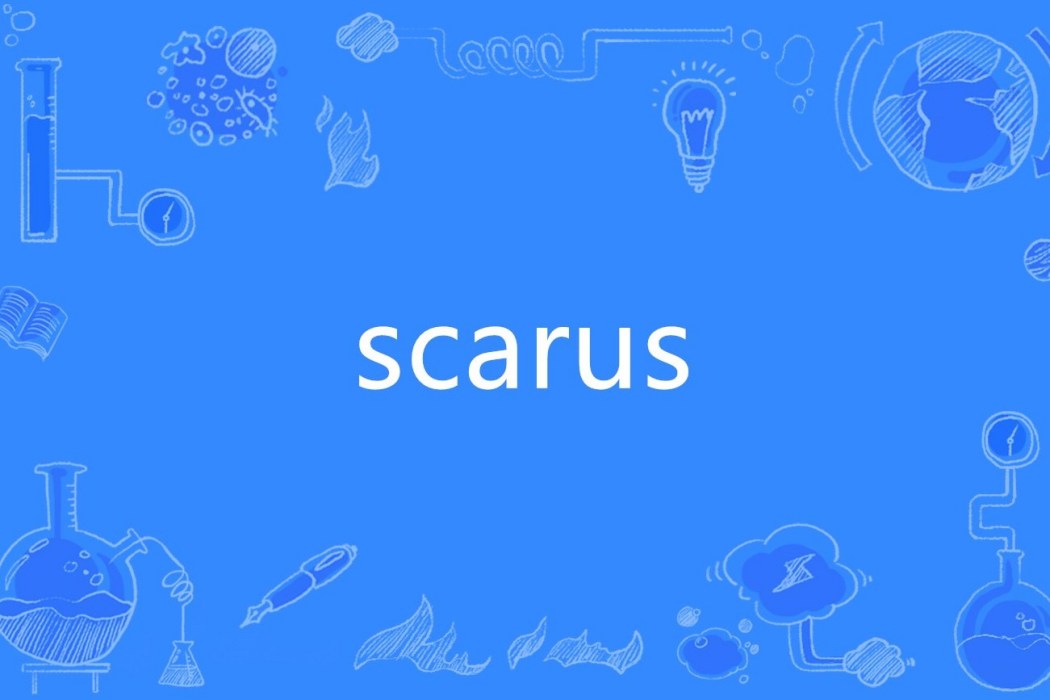 scarus scarus