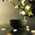 雨前茶 雨前茶
