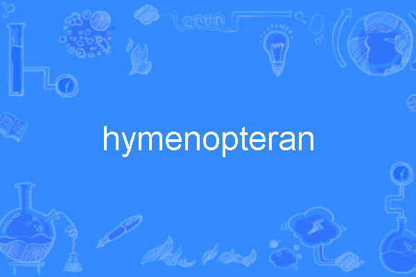 hymenopteran hymenopteran