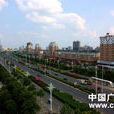 市級縣 市級縣