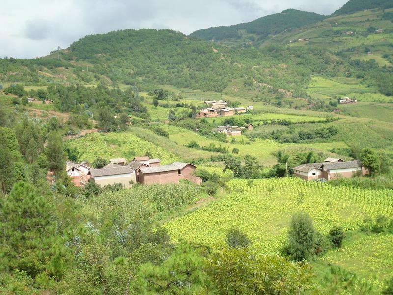 北澤村 北澤村