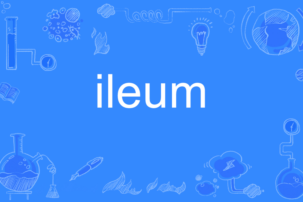 ileum ileum