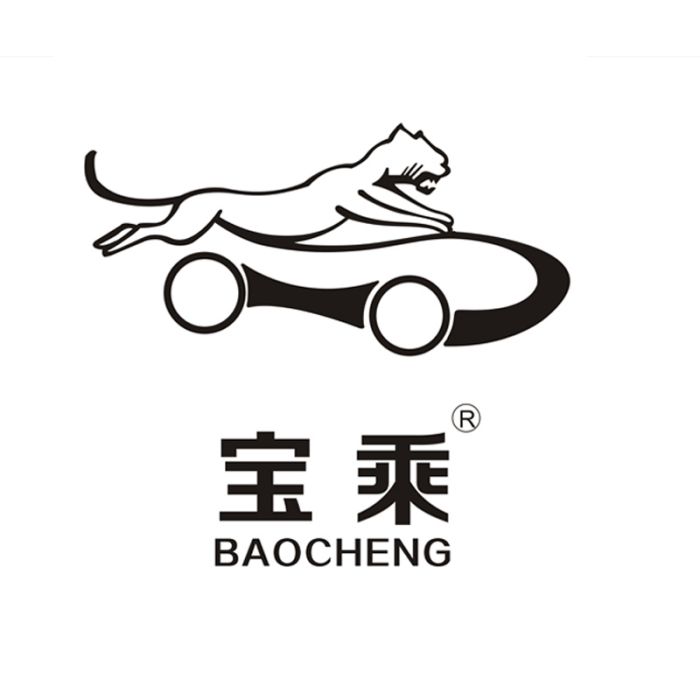 寶乘腳墊 寶乘腳墊