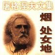 處女地(伊凡·謝爾蓋耶維奇·屠格涅夫創作小說) 處女地(伊凡·謝爾蓋耶維奇·屠格涅夫創作小說)