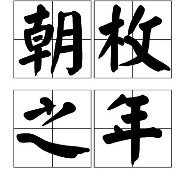 朝枚之年