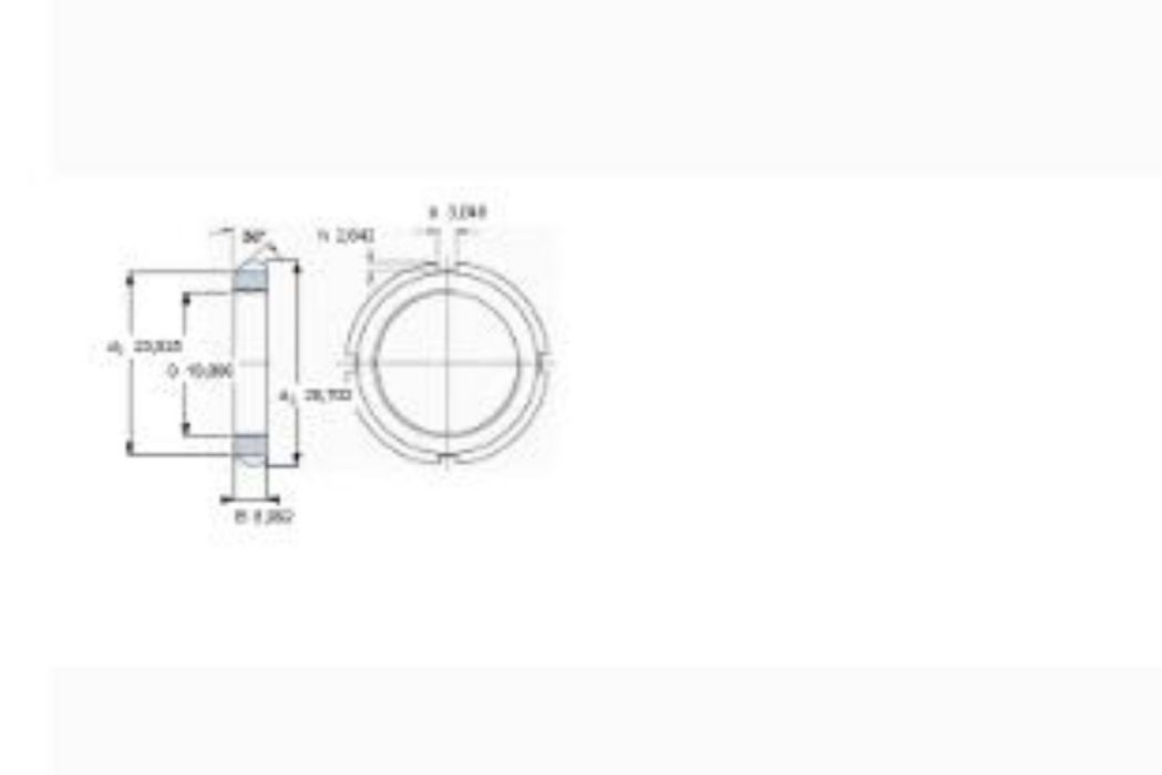 SKF N03軸承 SKF N03軸承