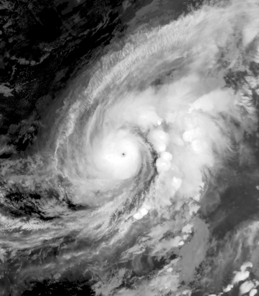 強颱風鯨魚 衛星雲圖