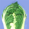 青研三號 青研三號
