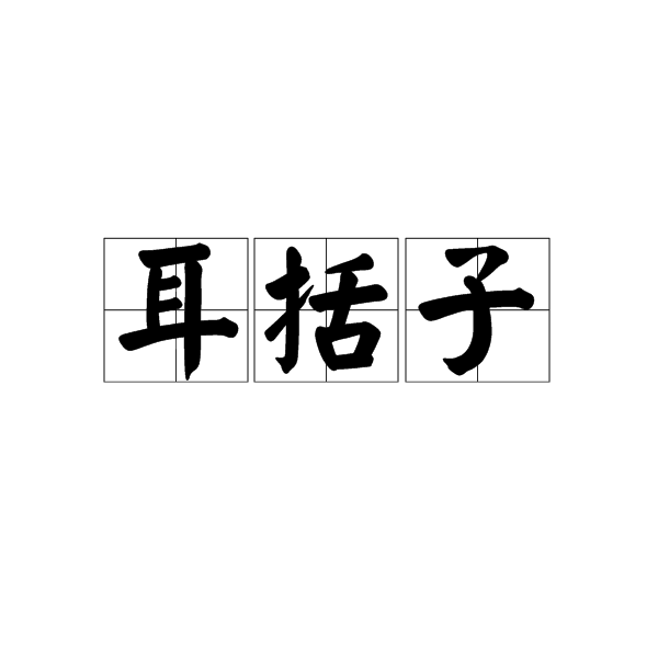 耳括子
