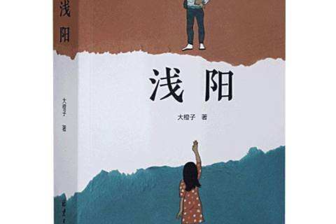 淺陽(2021年北京日報出版社出版的圖書) 淺陽(2021年北京日報出版社出版的圖書)