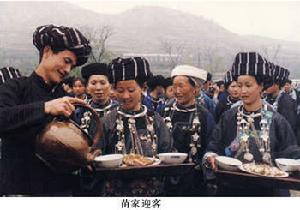 巴蜀文化(四川、重慶的地域文化)
