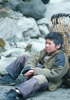 熊貓回家路(2009年俞鐘執導電影)