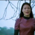 木棉花(潮汕歌曲) 木棉花(潮汕歌曲)