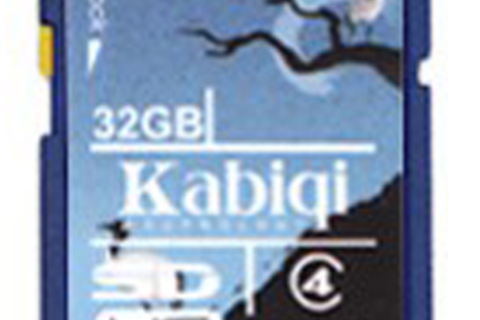 卡士奇8G SDHC 卡士奇8G SDHC