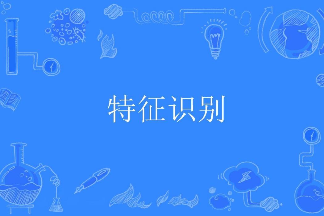 特徵識別 特徵識別