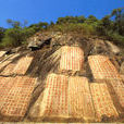 豐州鎮(河北平鄉縣豐州鎮) 豐州鎮(河北平鄉縣豐州鎮)