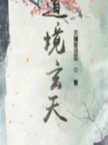 道境玄天 道境玄天