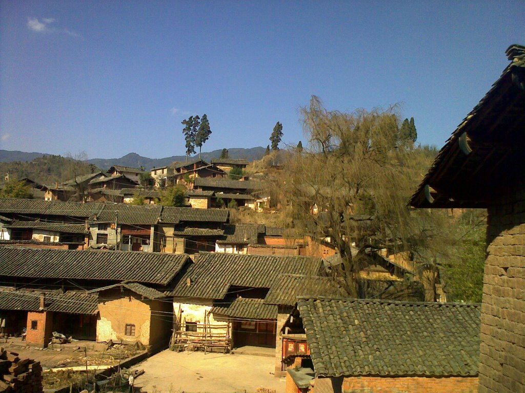 東村(易門縣六街鎮茶樹村民委員會下轄村)