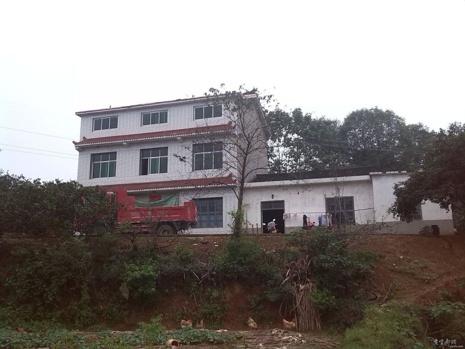 新橋河村(湖北省宜昌市宜都市姚家店鎮下轄村) 新橋河村(湖北省宜昌市宜都市姚家店鎮下轄村)