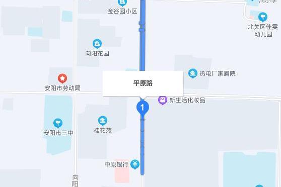 平原路(安陽市平原路) 平原路(安陽市平原路)