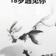 18歲遇見你 18歲遇見你