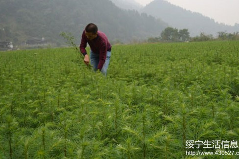長鋪子苗族鄉 長鋪子苗族鄉