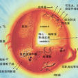 恆星結構 恆星結構