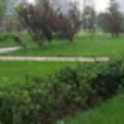 大莊園(小區) 大莊園(小區)