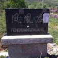 鳳凰莊村(山東膠南市大場鎮下轄村) 鳳凰莊村(山東膠南市大場鎮下轄村)