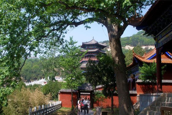 後寺村(兗州市後寺村) 後寺村(兗州市後寺村)