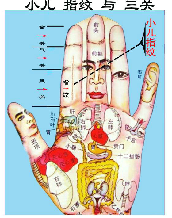 指紋診法
