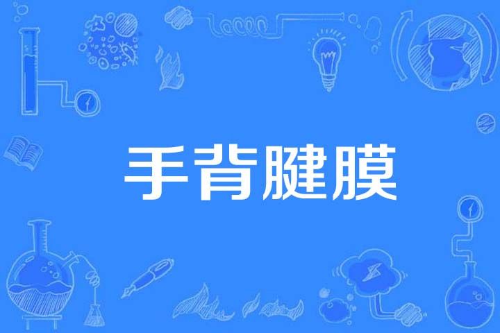 手背腱膜 手背腱膜