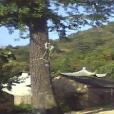 平湖村(新昌縣南明街道平湖村) 平湖村(新昌縣南明街道平湖村)