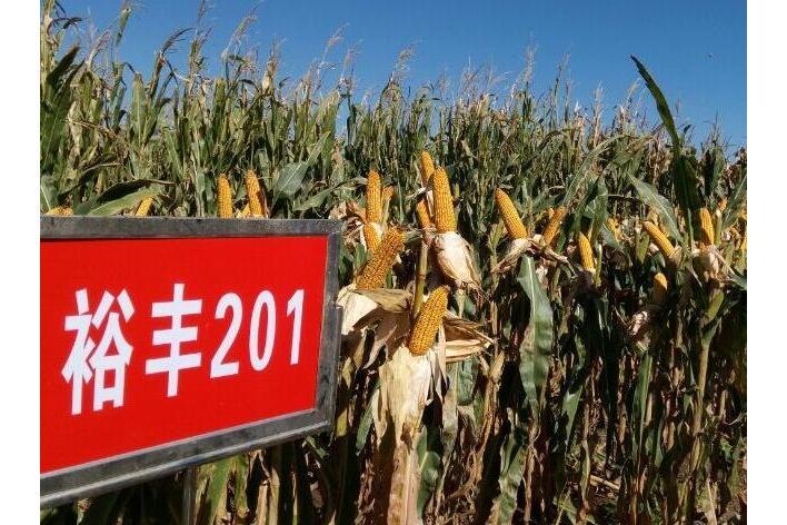 裕豐201 裕豐201