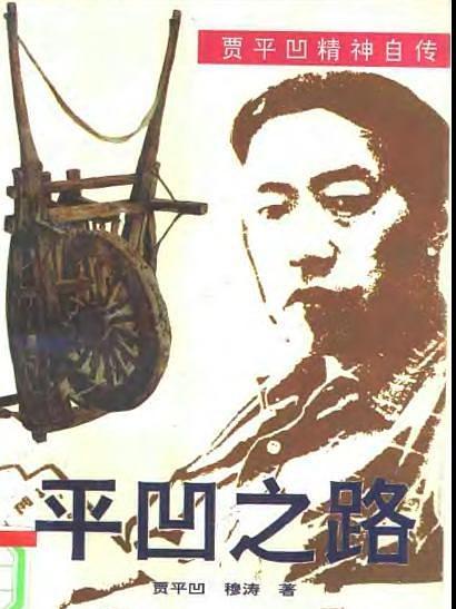平凹之路 平凹之路