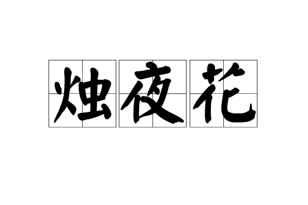 燭夜花 燭夜花