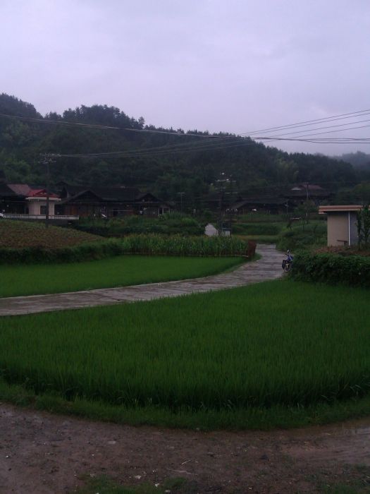 蒙棋村 蒙棋村