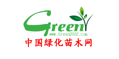 中國綠化苗木網