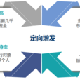 定向增發