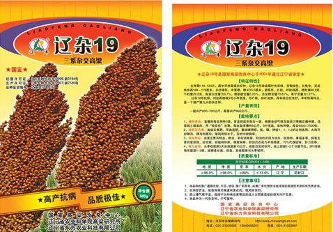 遼雜19號 遼雜19號