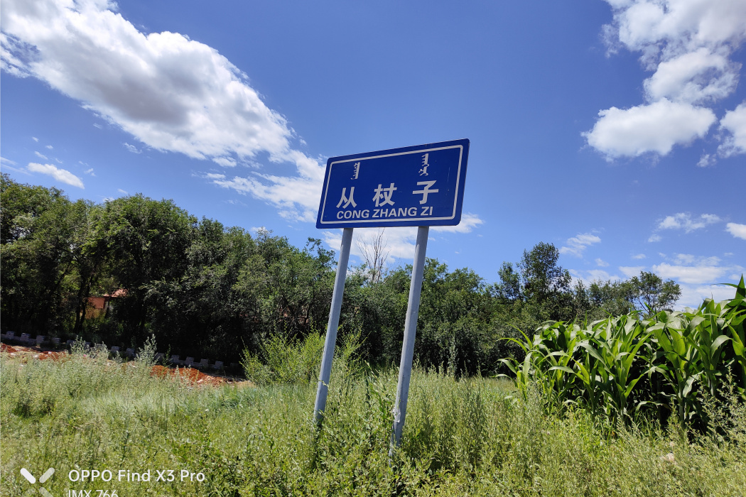 叢杖子 叢杖子