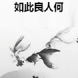 如此良人何 如此良人何