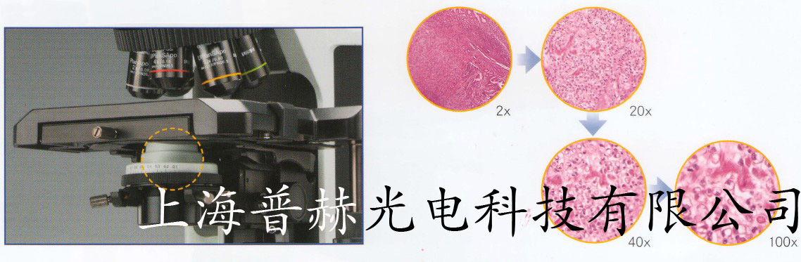 奧林巴斯螢光顯微鏡BX43